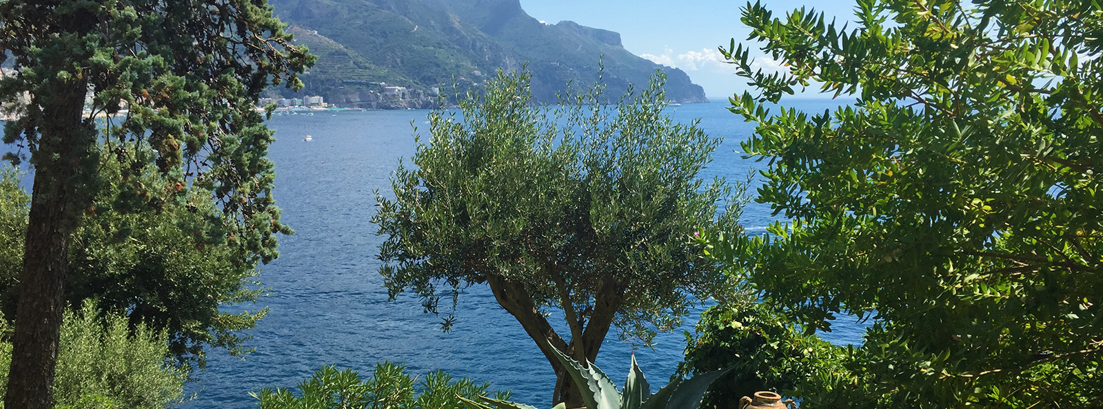 Scorcio tra gli alberi secolari Hotel di charme in Costiera Amalfitana